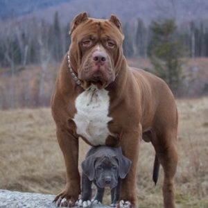 Meet your Posher, Ethan